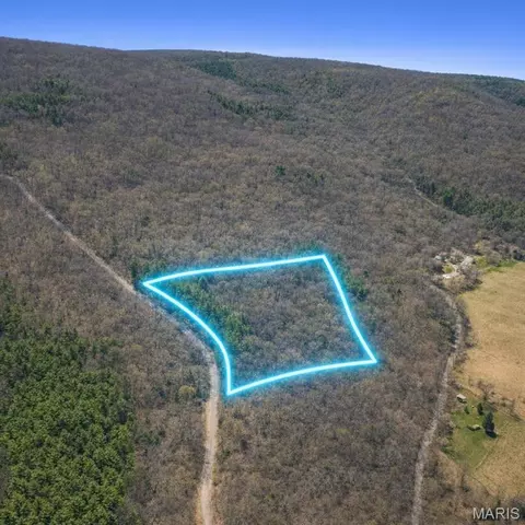 Off Cr 124, Annapolis, MO 63620 photo 5