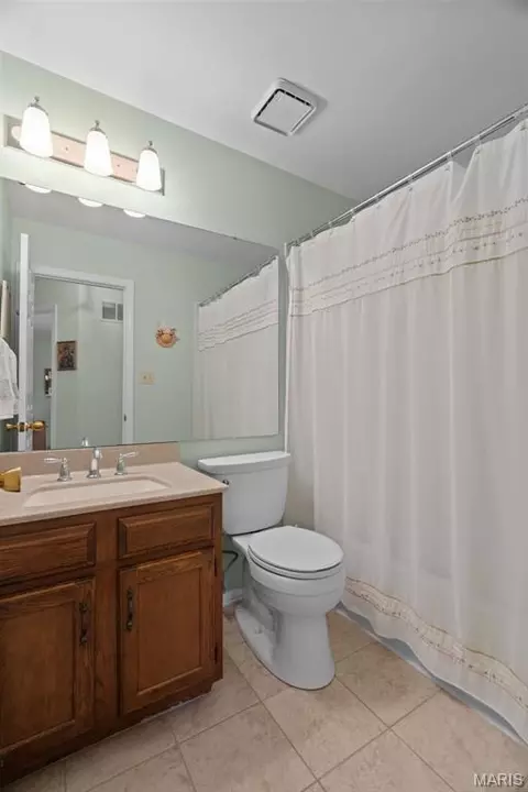 Bath - 16500 Thunderhead Canyon Ct, Ballwin, MO 63011 photo 6 of 6
