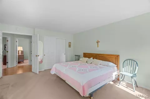 Bedroom - 16500 Thunderhead Canyon Ct, Ballwin, MO 63011 photo 1 of 5