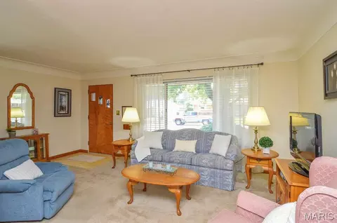 Living - 17 Blackburn Dr, Belleville, IL 62226 photo 3 of 3
