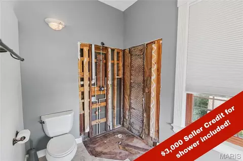 Bath - 536 E 6th St, Alton, IL 62002 photo 3 of 7