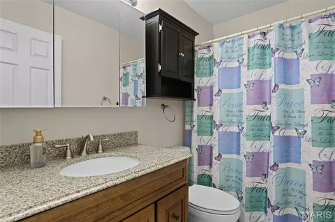 Bath - 3711 Falcon View Dr, Arnold, MO 63010 photo 3 of 6