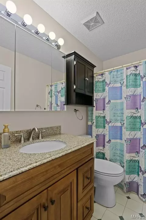 Bath - 3711 Falcon View Dr, Arnold, MO 63010 photo 4 of 6