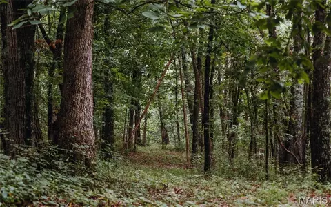 Other - 1137 Highway F, Eolia, MO 63344 photo 22 of 30