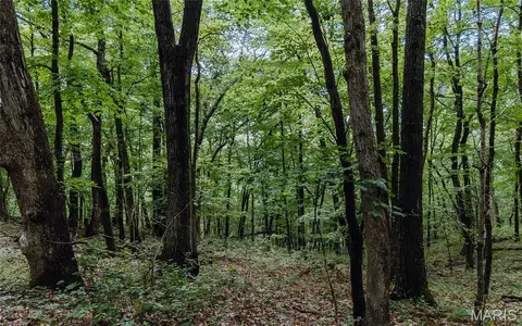Other - 1137 Highway F, Eolia, MO 63344 photo 21 of 30
