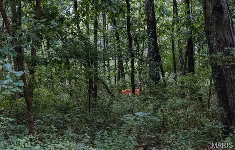 Other - 1137 Highway F, Eolia, MO 63344 photo 19 of 30