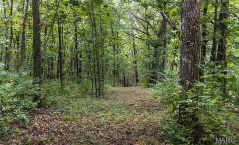 Other - 1137 Highway F, Eolia, MO 63344 photo 26 of 30