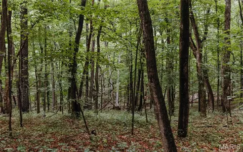 Other - 1137 Highway F, Eolia, MO 63344 photo 23 of 30