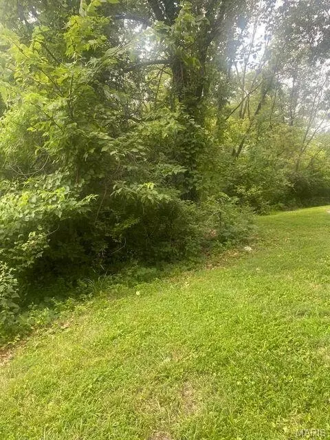 4625 Parker Rd, Black Jack, MO 63033