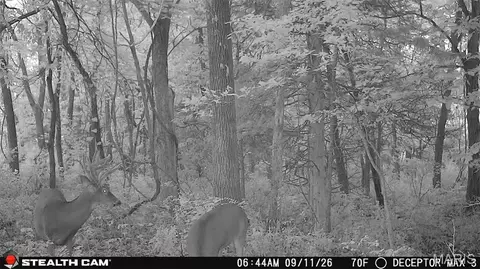 Other - 0 Russell Rd, Troy, MO 63379 photo 25 of 27