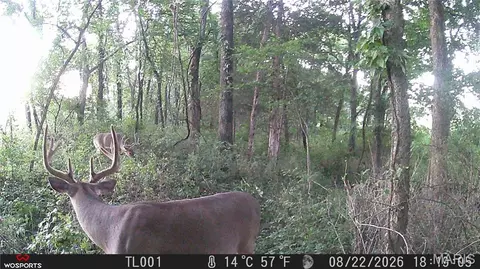 Other - 0 Russell Rd, Troy, MO 63379 photo 13 of 27