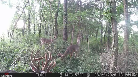 Other - 0 Russell Rd, Troy, MO 63379 photo 24 of 27