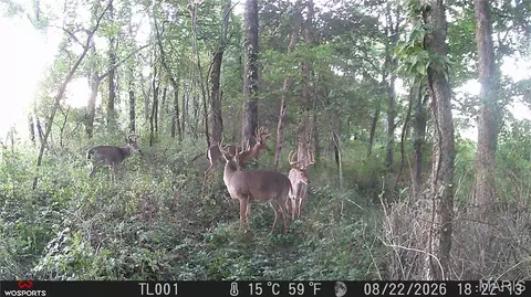 Other - 0 Russell Rd, Troy, MO 63379 photo 7 of 27