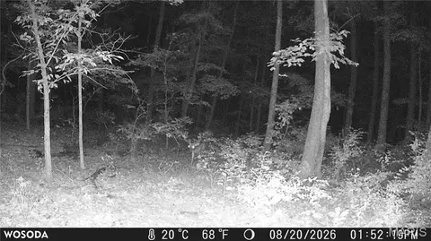 Other - 0 Russell Rd, Troy, MO 63379 photo 26 of 27
