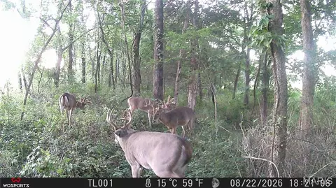Other - 0 Russell Rd, Troy, MO 63379 photo 22 of 27