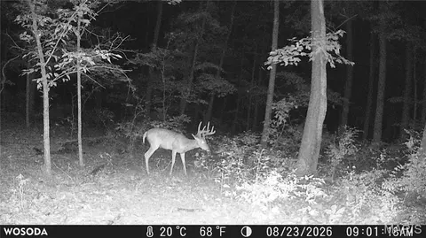Other - 0 Russell Rd, Troy, MO 63379 photo 19 of 27