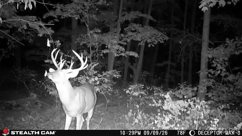 Other - 0 Russell Rd, Troy, MO 63379 photo 11 of 27