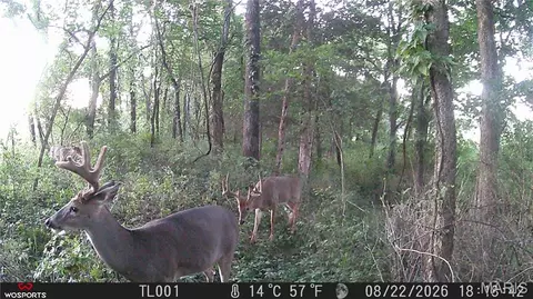 Other - 0 Russell Rd, Troy, MO 63379 photo 14 of 27