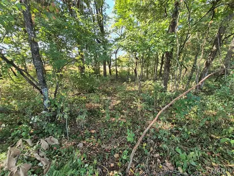 Other - 0 Russell Rd, Troy, MO 63379 photo 12 of 27