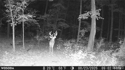 Other - 0 Russell Rd, Troy, MO 63379 photo 20 of 27