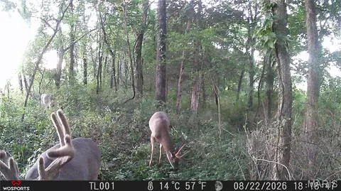 Other - 0 Russell Rd, Troy, MO 63379 photo 21 of 27
