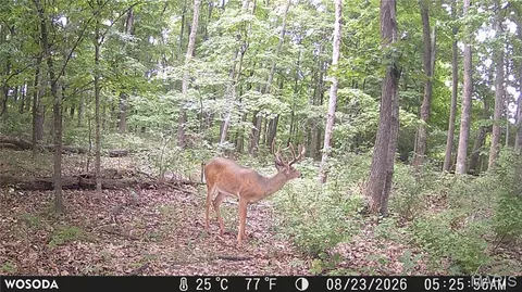 Other - 0 Russell Rd, Troy, MO 63379 photo 16 of 27