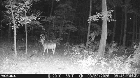 Other - 0 Russell Rd, Troy, MO 63379 photo 17 of 27