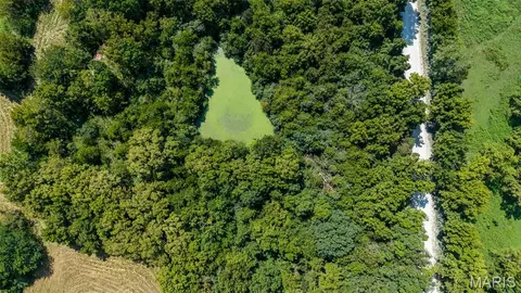 View/Area - 3735 State Road Aa, Holts Summit, MO 65043 photo 12 of 12
