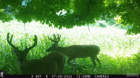 Other - 2759 Pcr 910, Perryville, MO 63775 photo 30 of 33