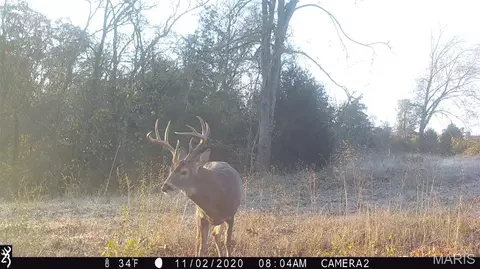 Other - 2759 Pcr 910, Perryville, MO 63775 photo 29 of 33