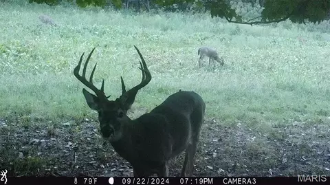 Other - 2759 Pcr 910, Perryville, MO 63775 photo 31 of 33