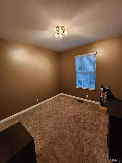 Other - 3605 N Meadow Mill Dr, Arnold, MO 63010 photo 4 of 5