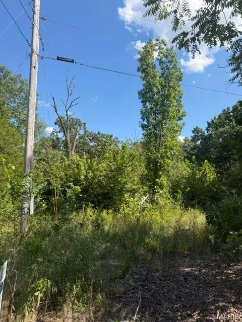 0 Edwards Rd, Hermann, MO 65041 photo 3