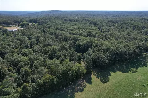 Off County Road 219, Fredericktown, MO 63645 photo 5