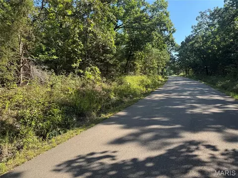 Off County Road 219, Fredericktown, MO 63645 photo 9