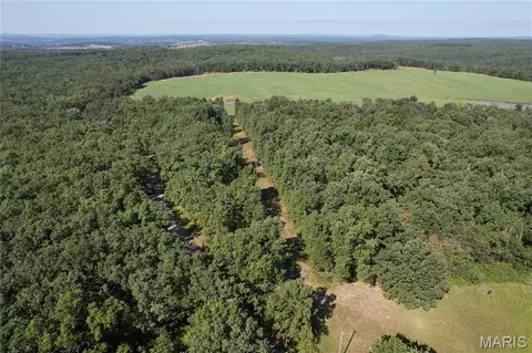 Off County Road 219, Fredericktown, MO 63645 photo 2