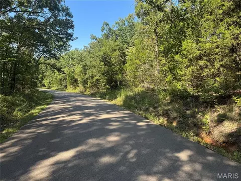 Off County Road 219, Fredericktown, MO 63645 photo 8