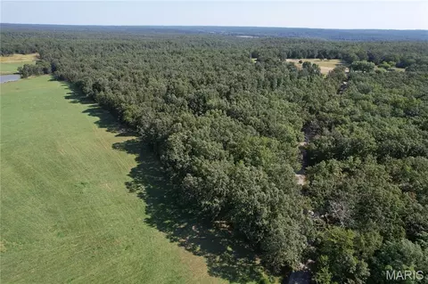 Off County Road 219, Fredericktown, MO 63645 photo 7