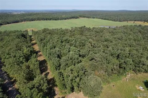Off County Road 219, Fredericktown, MO 63645 photo 3