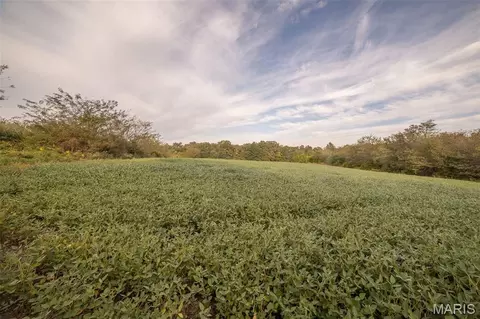 00 Abbott Rd, Bellflower, MO 63333 photo 39