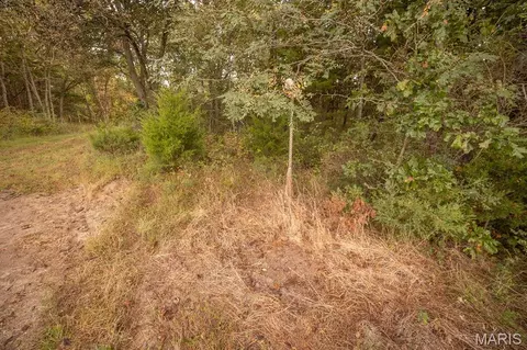 00 Abbott Rd, Bellflower, MO 63333 photo 38