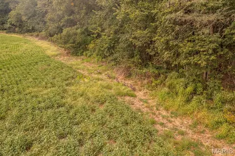 00 Abbott Rd, Bellflower, MO 63333 photo 23