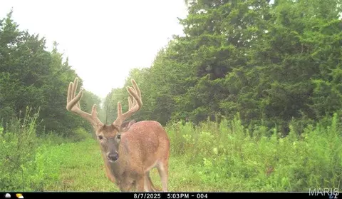 00 Abbott Rd, Bellflower, MO 63333 photo 62