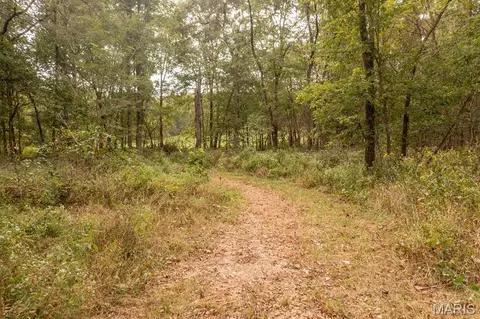 00 Abbott Rd, Bellflower, MO 63333 photo 25