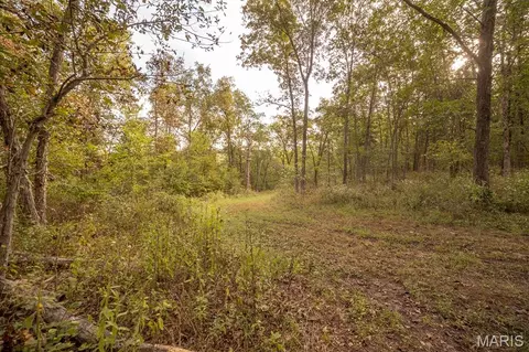 00 Abbott Rd, Bellflower, MO 63333 photo 35