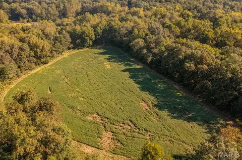 00 Abbott Rd, Bellflower, MO 63333 photo 19