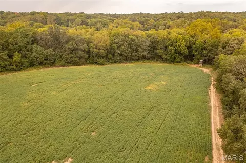 00 Abbott Rd, Bellflower, MO 63333 photo 30