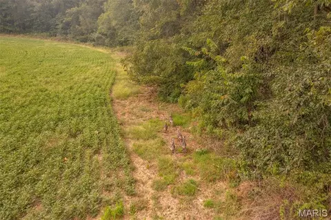 00 Abbott Rd, Bellflower, MO 63333 photo 31