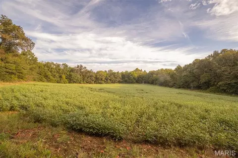 00 Abbott Rd, Bellflower, MO 63333 photo 36