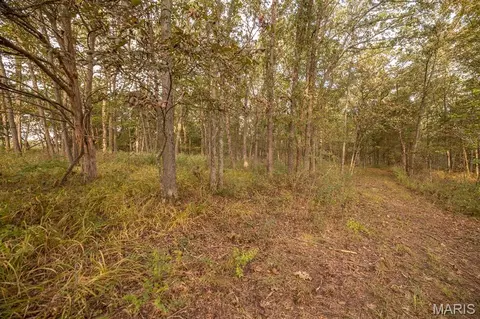 00 Abbott Rd, Bellflower, MO 63333 photo 37